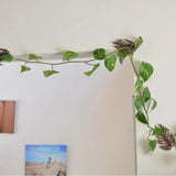 Maxbell 3 Pieces Wall Plant Climbing Brackets Climbing Plants Attachment for Bedroom Style A