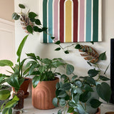 Maxbell 3 Pieces Wall Plant Climbing Brackets Climbing Plants Attachment for Bedroom Style B