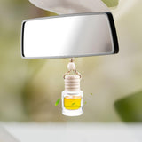 Maxbell 25Pcs Car Fragrance Hanging Bottles Portable Aroma Fragrance Vials Ornaments Style B