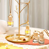 Maxbell 25Pcs Car Fragrance Hanging Bottles Portable Aroma Fragrance Vials Ornaments Style B
