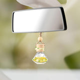 Maxbell 25Pcs Car Fragrance Hanging Bottles Portable Aroma Fragrance Vials Ornaments Style C