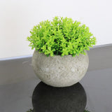 Maxbell Small Fake Plant Decorative Desktop Ornament for Bedroom Coffee Table Indoor