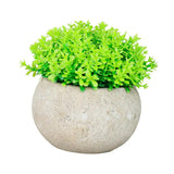 Maxbell Small Fake Plant Decorative Desktop Ornament for Bedroom Coffee Table Indoor
