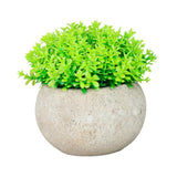 Maxbell Small Fake Plant Decorative Desktop Ornament for Bedroom Coffee Table Indoor
