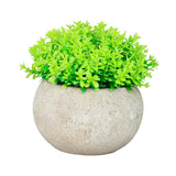 Maxbell Small Fake Plant Decorative Desktop Ornament for Bedroom Coffee Table Indoor