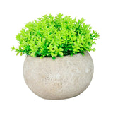 Maxbell Small Fake Plant Decorative Desktop Ornament for Bedroom Coffee Table Indoor