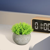 Maxbell Small Fake Plant Decorative Desktop Ornament for Bedroom Coffee Table Indoor