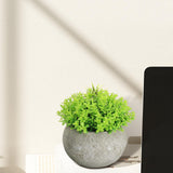 Maxbell Small Fake Plant Decorative Desktop Ornament for Bedroom Coffee Table Indoor