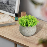 Maxbell Small Fake Plant Decorative Desktop Ornament for Bedroom Coffee Table Indoor