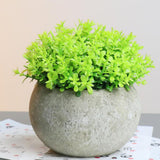 Maxbell Small Fake Plant Decorative Desktop Ornament for Bedroom Coffee Table Indoor