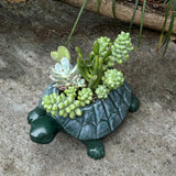 Maxbell Turtle Planter Pot Craft Collectible Art Flower Pot for Yard Gift Restaurant