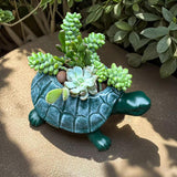 Maxbell Turtle Planter Pot Craft Collectible Art Flower Pot for Yard Gift Restaurant