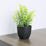 Maxbell Mini Artificial Greenery Potted Plant for Decoration Bathroom Shelf