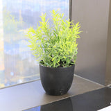 Maxbell Mini Artificial Greenery Potted Plant for Decoration Bathroom Shelf