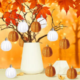 Maxbell 12x Pumpkin Hanging Ornaments Party Supplies for Holiday Home Indoor Outdoor