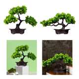 Maxbell Artificial Bonsai Tree Desk Display Plants Indoor for Desk Living Room Table Double pine