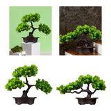 Maxbell Artificial Bonsai Tree Desk Display Plants Indoor for Desk Living Room Table Double pine