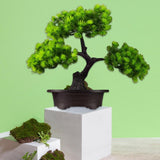 Maxbell Artificial Bonsai Tree Desk Display Plants Indoor for Desk Living Room Table Double pine