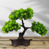 Maxbell Artificial Bonsai Tree Desk Display Plants Indoor for Desk Living Room Table Double pine