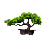 Maxbell Artificial Bonsai Tree Desk Display Plants Indoor for Desk Living Room Table Longevity pine