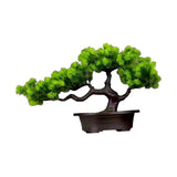 Maxbell Artificial Bonsai Tree Desk Display Plants Indoor for Desk Living Room Table Longevity pine