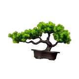 Maxbell Artificial Bonsai Tree Desk Display Plants Indoor for Desk Living Room Table Longevity pine