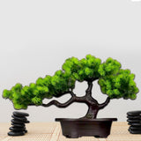 Maxbell Artificial Bonsai Tree Desk Display Plants Indoor for Desk Living Room Table Longevity pine