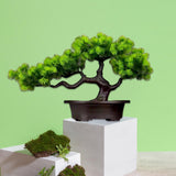 Maxbell Artificial Bonsai Tree Desk Display Plants Indoor for Desk Living Room Table Longevity pine