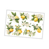 Maxbell Lemon Leaf Wall Stickers Ornament Wallpaper for Office School Restroom