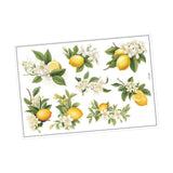 Maxbell Lemon Leaf Wall Stickers Ornament Wallpaper for Office School Restroom