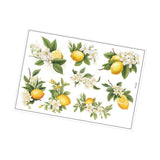 Maxbell Lemon Leaf Wall Stickers Ornament Wallpaper for Office School Restroom