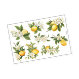 Maxbell Lemon Leaf Wall Stickers Ornament Wallpaper for Office School Restroom