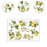Maxbell Lemon Leaf Wall Stickers Ornament Wallpaper for Office School Restroom