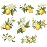 Maxbell Lemon Leaf Wall Stickers Ornament Wallpaper for Office School Restroom