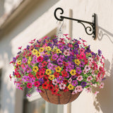 Maxbell Artificial Faux Hanging Flowers Plants with Basket Chain Flower Pot for Lawn A