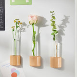 Maxbell Mini Glass Plant Pot Kids Adults Kitchen Test Tube Flower Vase Fridge Magnet Column 5x12cm