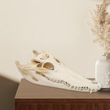 Maxbell Realistic Alligator Skull Crocodile Skull Head Sculpture for Living Room Bar