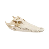 Maxbell Realistic Alligator Skull Crocodile Skull Head Sculpture for Living Room Bar