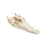 Maxbell Realistic Alligator Skull Crocodile Skull Head Sculpture for Living Room Bar