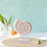 Maxbell Wood Statue Beach Table Decor Art Figurine for Bathroom Beach-farmhouse Home Conch Shape