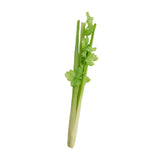 Maxbell Artificial Vegetable Centerpiece Dining Room Shop Party Simulation Vegetable Celery 39x5cm