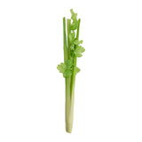 Maxbell Artificial Vegetable Centerpiece Dining Room Shop Party Simulation Vegetable Celery 39x5cm