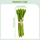 Maxbell Artificial Vegetable Centerpiece Dining Room Shop Party Simulation Vegetable Asparagus 20x6cm