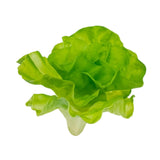 Maxbell Artificial Vegetable Centerpiece Dining Room Shop Party Simulation Vegetable Small lettuce17x26cm