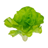 Maxbell Artificial Vegetable Centerpiece Dining Room Shop Party Simulation Vegetable Small lettuce17x26cm