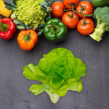 Maxbell Artificial Vegetable Centerpiece Dining Room Shop Party Simulation Vegetable Small lettuce17x26cm