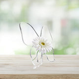 Maxbell Butterfly Vase Clear Lightweight Home Decor for Bedroom Desktop Coffee Table