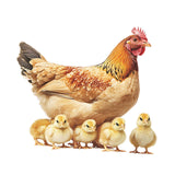 Maxbell Chicken Wall Sticker Rooster Chicken Waterproof for School Apartment Kitchen