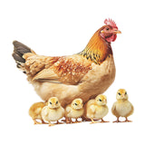 Maxbell Chicken Wall Sticker Rooster Chicken Waterproof for School Apartment Kitchen