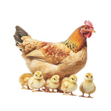 Maxbell Chicken Wall Sticker Rooster Chicken Waterproof for School Apartment Kitchen